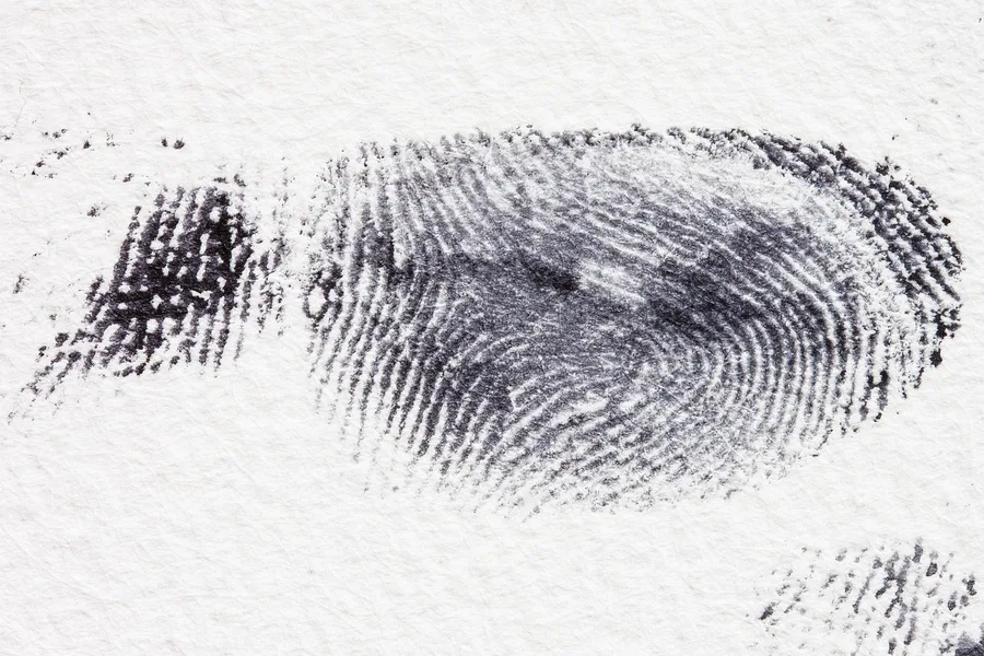 fingerprint, dactylogram, papillary ridges, fingertip, contact, crime, criminal law, detective, finger, security, ink, black, uniqueness, fingerprint, fingerprint, fingerprint, fingerprint, fingerprint, crime, detective, detective, detective