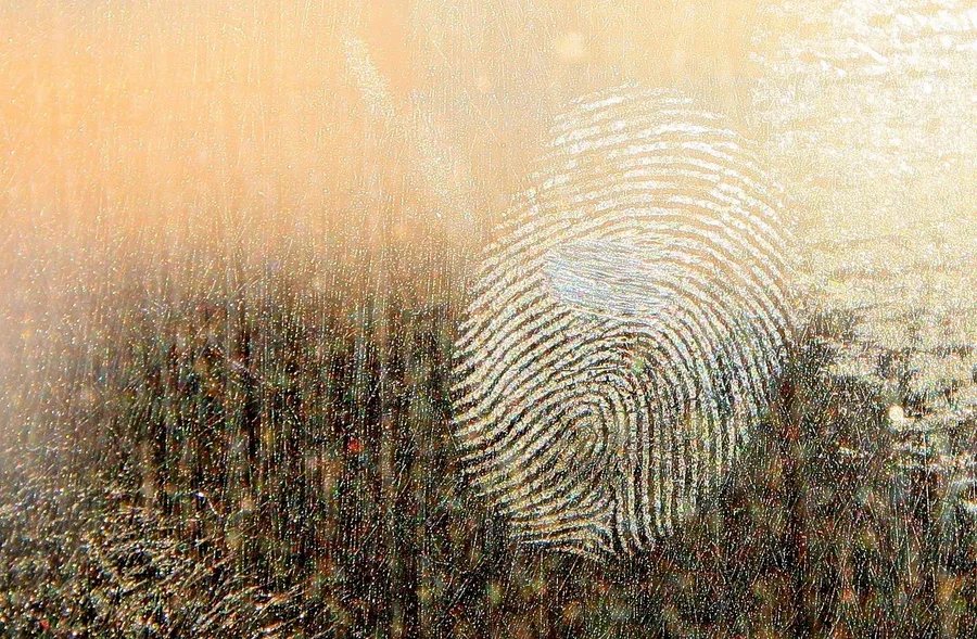 dirt, dirty, fingerprints, forensics, glass, grease, sebaceous, spots, windows, macro, brown window, brown glass, brown glasses, fingerprints, fingerprints, forensics, forensics, forensics, forensics, forensics