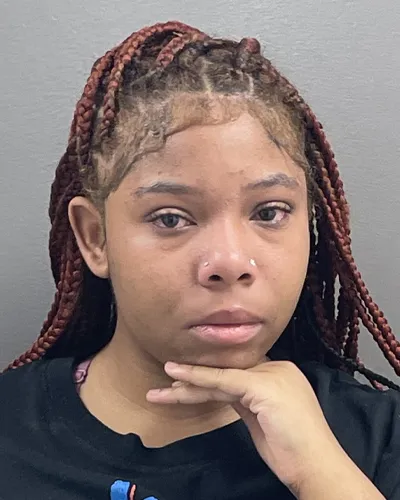 Photo of missing person Diamond Ellison