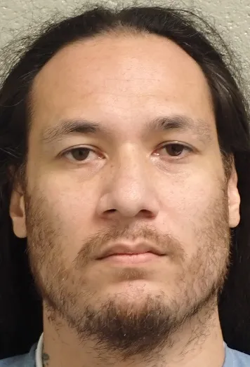 Registry photo of Robert James Sanico