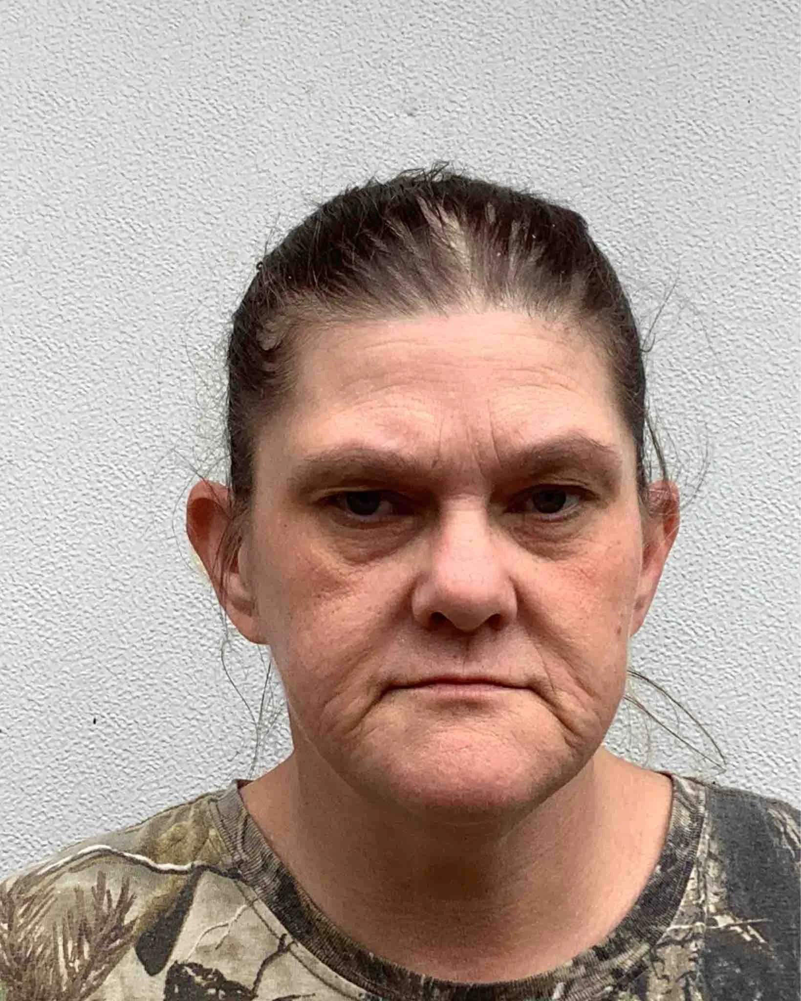 Registry photo of Teresa Diane Holloway