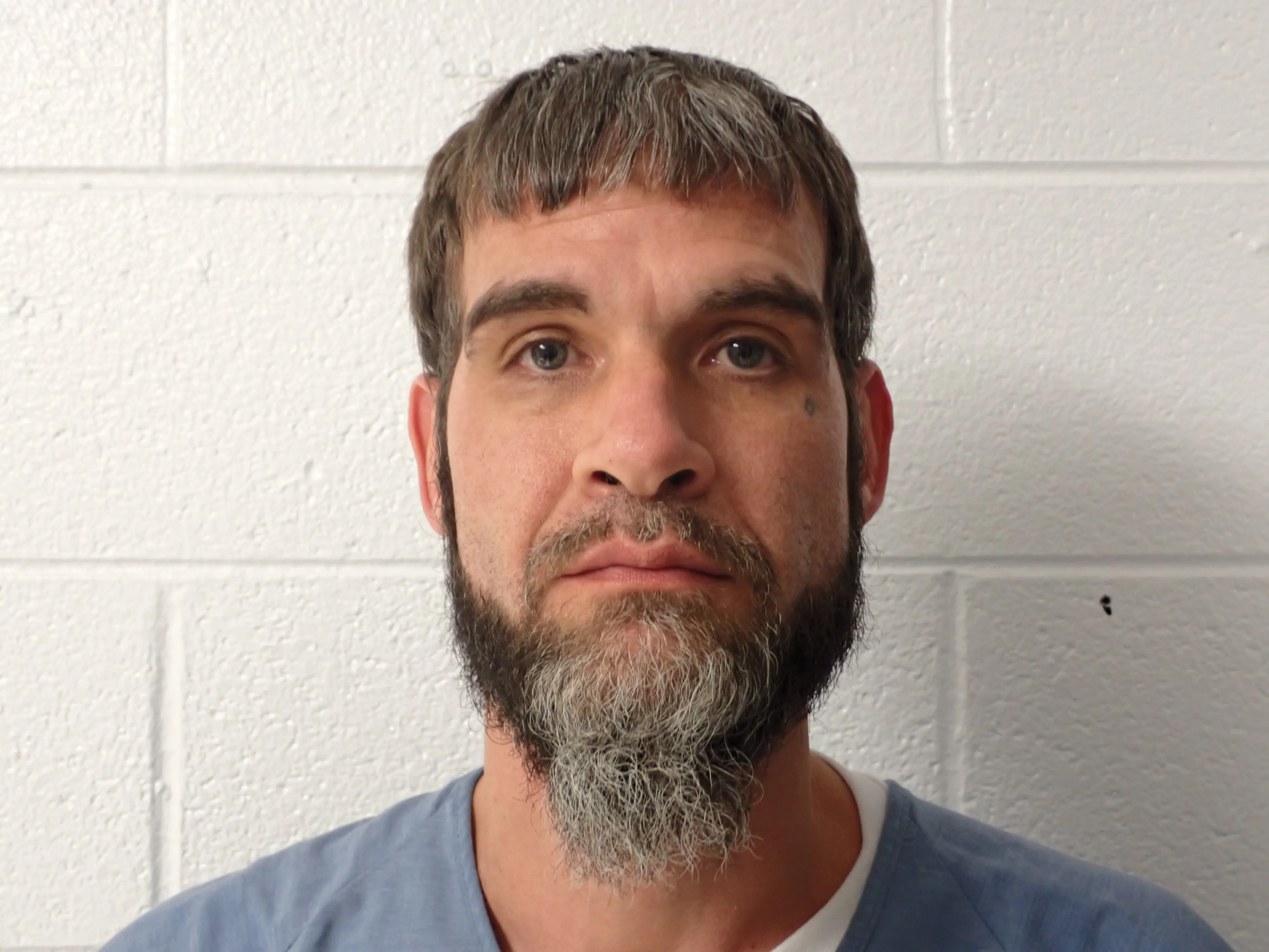 Registry photo of Brandon Cody Phillips