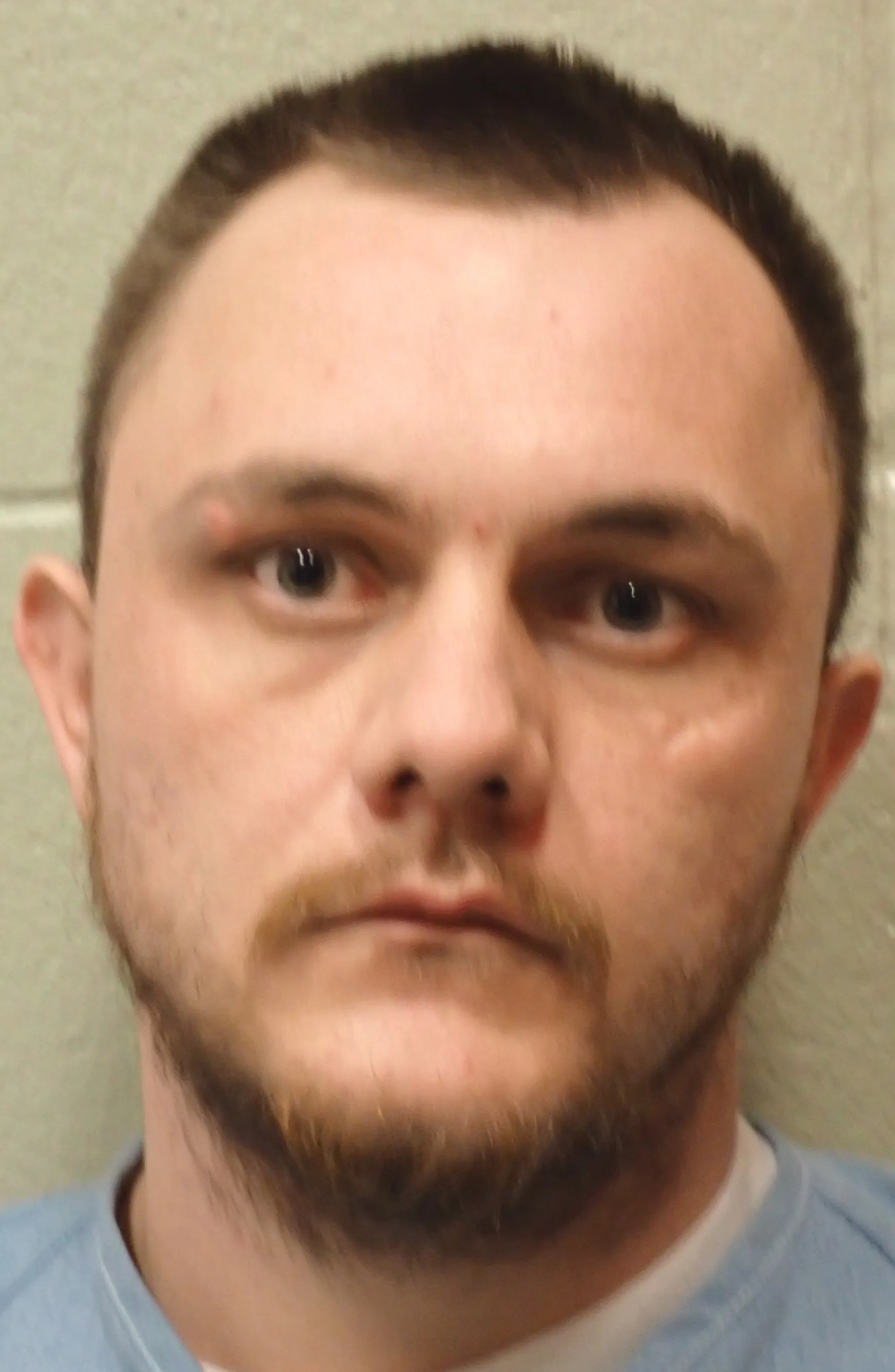 Registry photo of Hayden Winstead