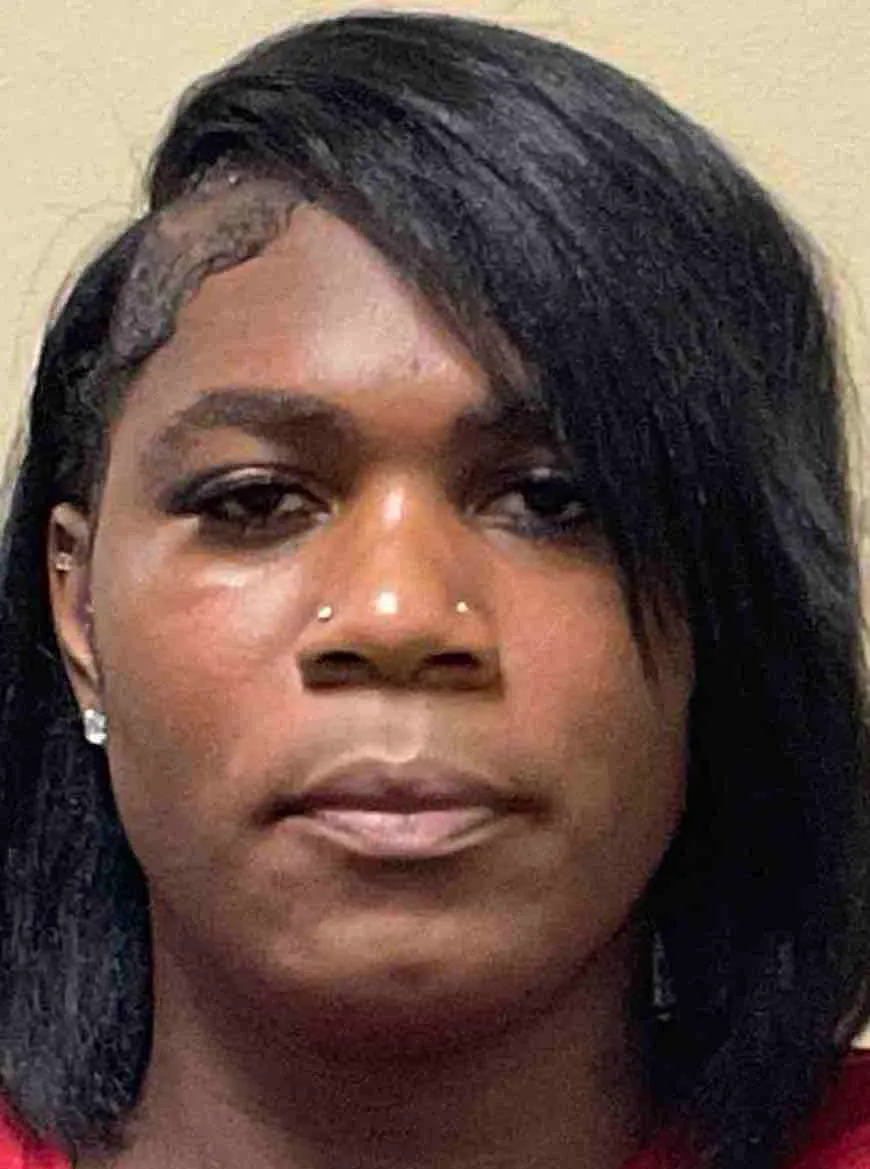 Registry photo of Toyland Woodson