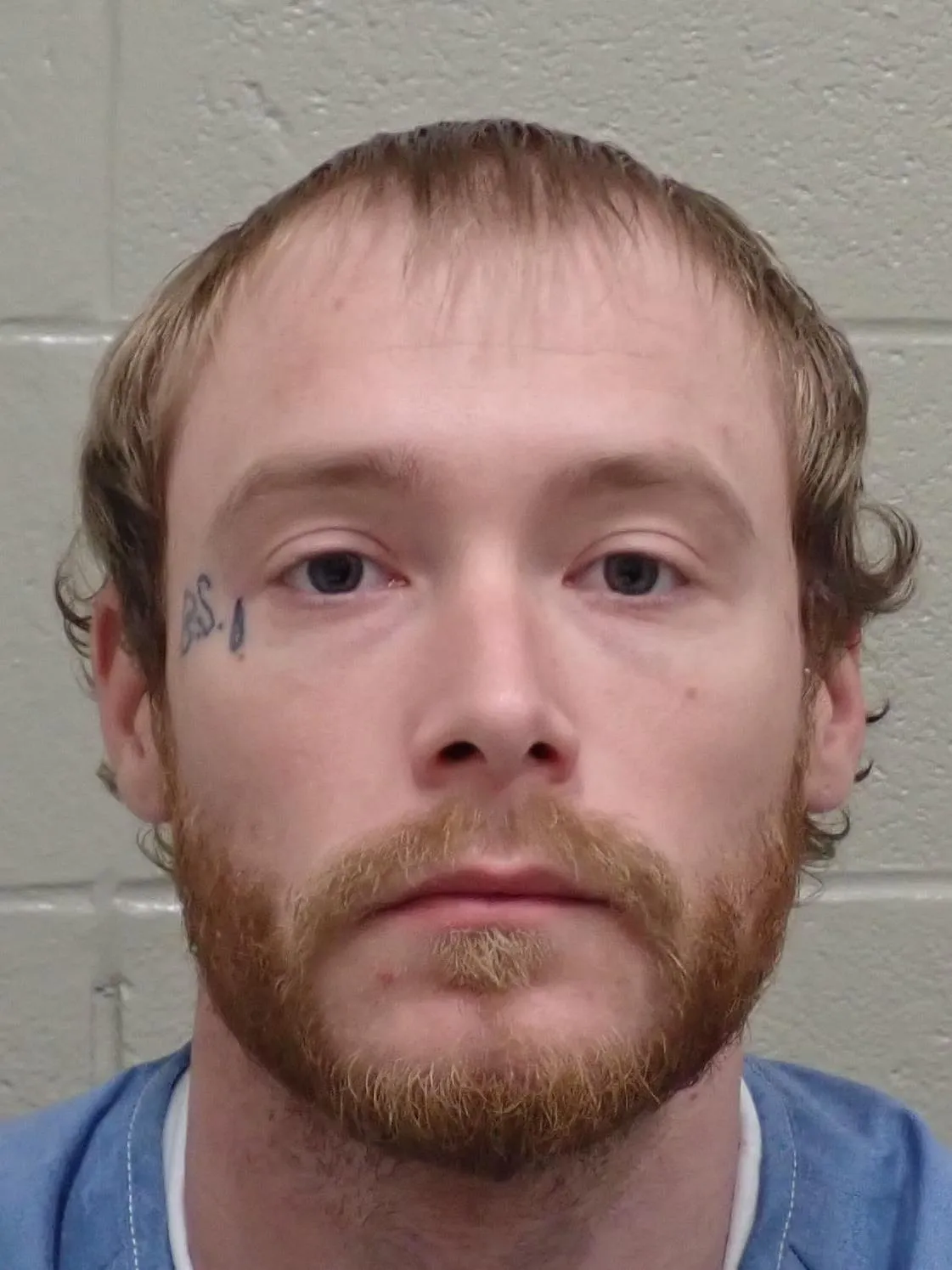 Registry photo of Andrew W Chesser