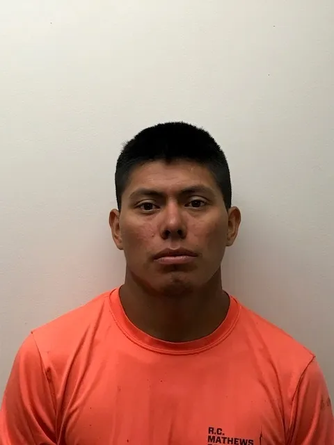 Registry photo of Domingo Sis