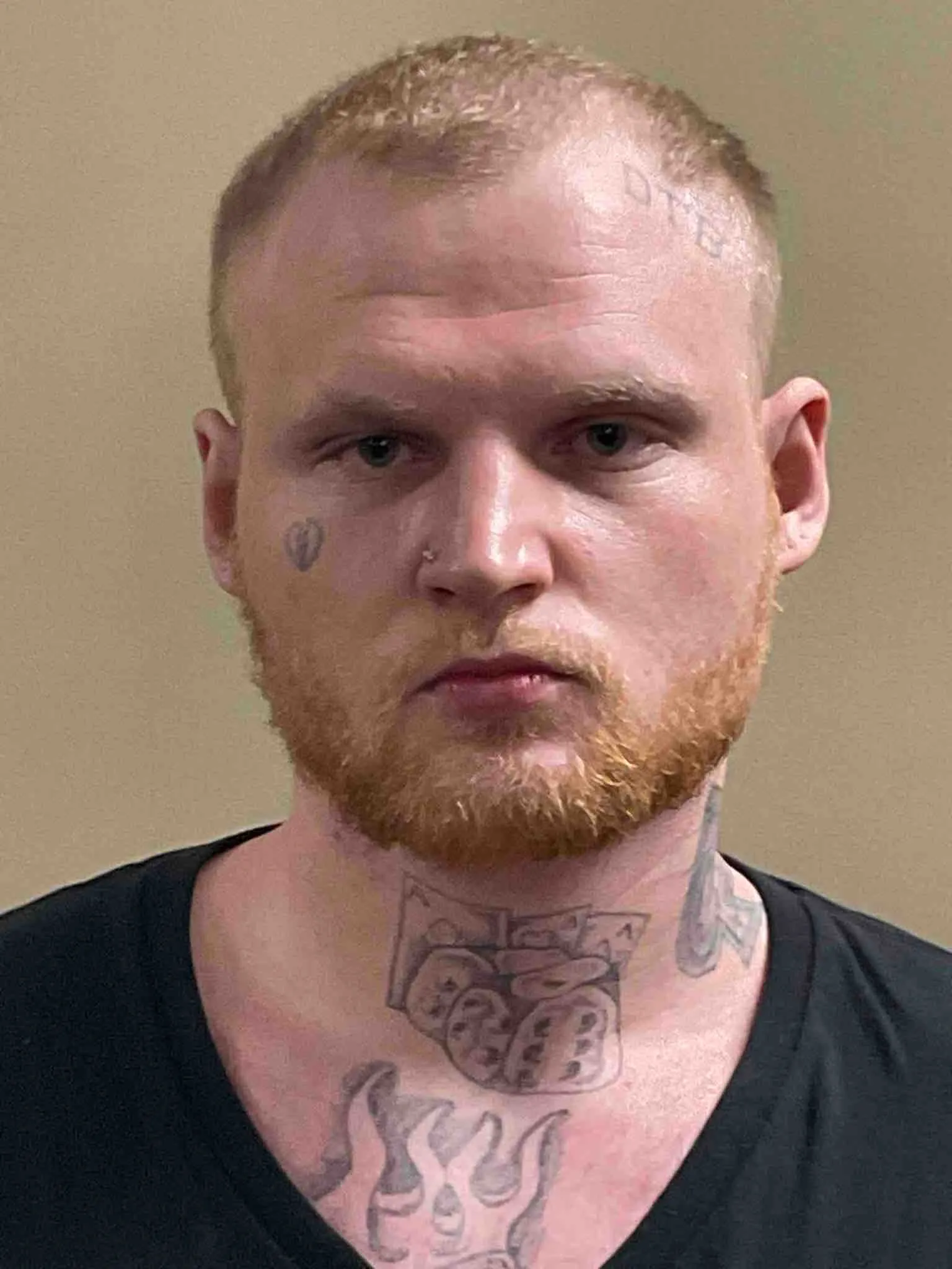 Registry photo of Dillon Taylor Wilson