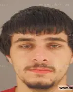 Booking photo of JOSEPH D HARNESS, Anderson County, Oct 13, 2015