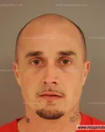 Booking photo of Darren Bucky Larsen, Anderson County, Nov 8, 2014