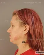 Booking photo of Kimberly Dawn Eubanks, Anderson County, Mar 17, 2015