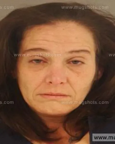 Booking photo of Rebecca Mcdowell, Anderson County, Nov 13, 2014