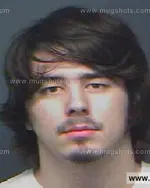 Booking photo of Austin James Richards, Anderson County, Nov 16, 2011