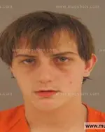 Booking photo of MICHAEL ANTHONY KING, Anderson County, Mar 6, 2014