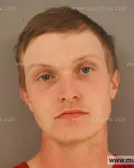 Booking photo of Dustin Trevor Parks, Anderson County, Mar 24, 2015