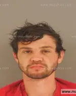 Booking photo of Brian Patrick Russell-Syfers, Anderson County, Jul 31, 2015