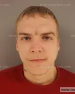 Booking photo of Adam Ross Ellison, Anderson County, Mar 16, 2015