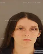 Booking photo of Casey Lee Daniels, Anderson County, Dec 21, 2014