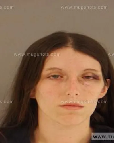 Booking photo of Casey Lee Daniels, Anderson County, Dec 21, 2014