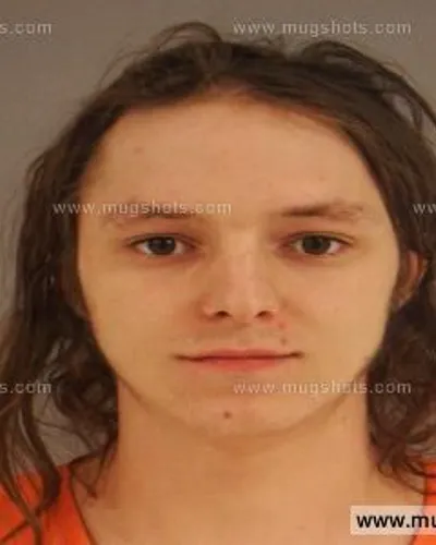 Booking photo of Vincent Ellis, Anderson County, Nov 20, 2014