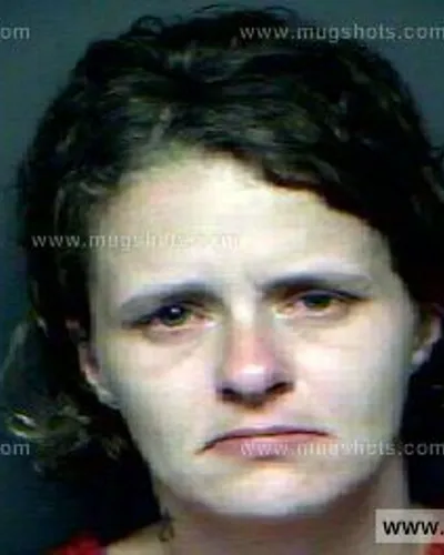 Booking photo of Leslie Wilson, Anderson County, Nov 28, 2012