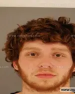 Booking photo of BRANDON JACOB BRIDGES, Anderson County, Feb 11, 2015