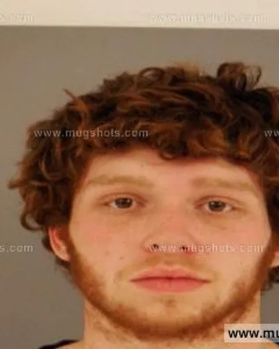 Booking photo of BRANDON JACOB BRIDGES, Anderson County, Feb 11, 2015