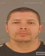 Booking photo of Ivan Elmer Lowe, Anderson County, May 17, 2015