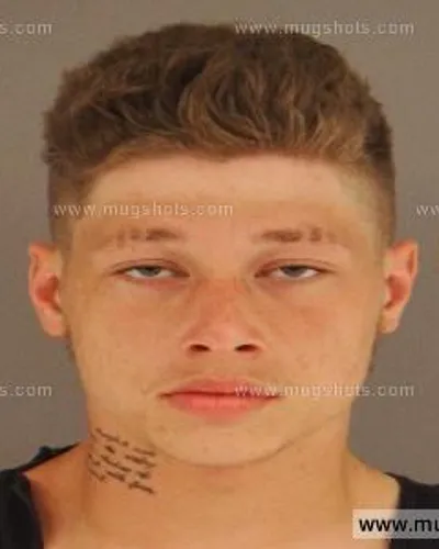 Booking photo of Tyler Romines, Anderson County, Sep 13, 2014