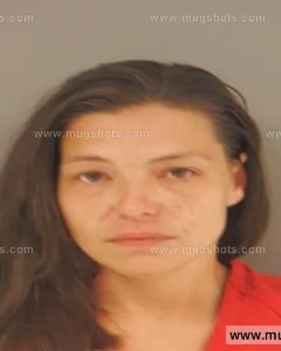 Booking photo of JENNIFER MAE LOWE, Anderson County, Jun 9, 2015