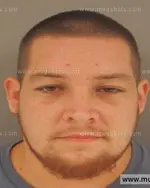 Booking photo of Derick R Brown, Anderson County, Jul 31, 2015