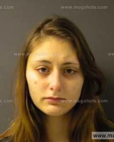 Booking photo of Stephanie Robin Coker, Anderson County, Dec 15, 2013