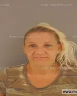 Booking photo of Amy Michelle Estep, Anderson County, Jul 23, 2015