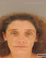 Booking photo of CARA Rhea SHILLINGS, Anderson County, Jun 25, 2015