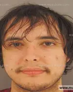 Booking photo of Brian Dean Phillips, Anderson County, Jun 18, 2015