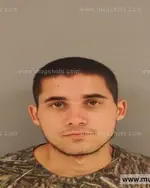 Booking photo of Garrett NMN Gielissen, Anderson County, Jun 29, 2014