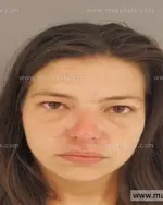 Booking photo of JENNIFER MAE LOWE, Anderson County, Jul 14, 2015