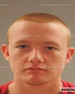 Booking photo of Dakota Tyler Ellis, Anderson County, May 25, 2015