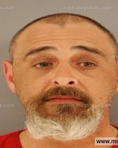 Booking photo of SAMMY H JR MCDANIEL, Anderson County, Feb 17, 2015