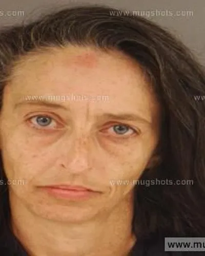 Booking photo of Denise Monroe, Anderson County, Aug 21, 2014