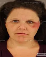 Booking photo of Meryl Ann Pierce, Anderson County, Feb 4, 2015