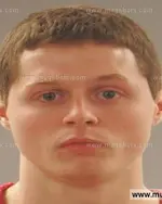 Booking photo of Daved Eben Paine Steele, Anderson County, Jun 23, 2015