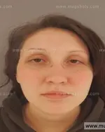 Booking photo of Allison Lee Ray, Anderson County, Nov 5, 2015