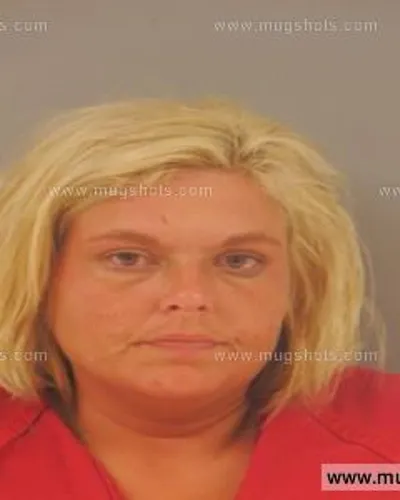 Booking photo of AMANDA Nicole HOOPER, Anderson County, May 1, 2015