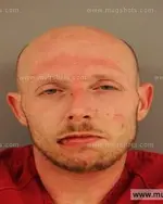 Booking photo of LARRY EUGENE WARD, Anderson County, Jan 21, 2015