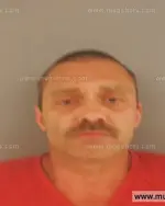 Booking photo of Gordon Bo Vitatoe, Anderson County, Jun 5, 2015