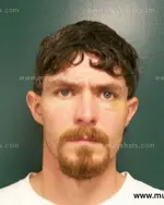 Booking photo of Nathanael () Leinart, Anderson County, Jul 23, 2012