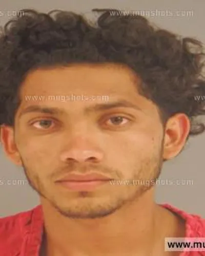 Booking photo of Yorlin Alvarez-Castillo, Anderson County, Jun 25, 2015