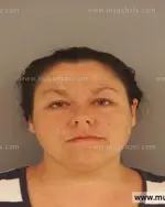 Booking photo of Sarah Courtney Kring, Anderson County, May 16, 2014