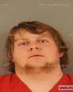 Booking photo of Brandon GENE Davis, Anderson County, Jan 31, 2015