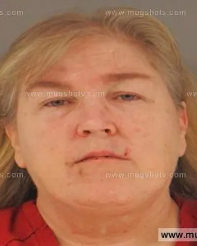 Booking photo of Alicia Goins, Anderson County, Sep 18, 2015